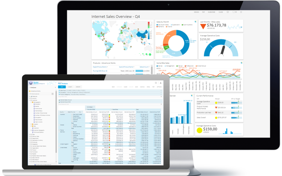 screenshot of Kyubit Business Intelligence